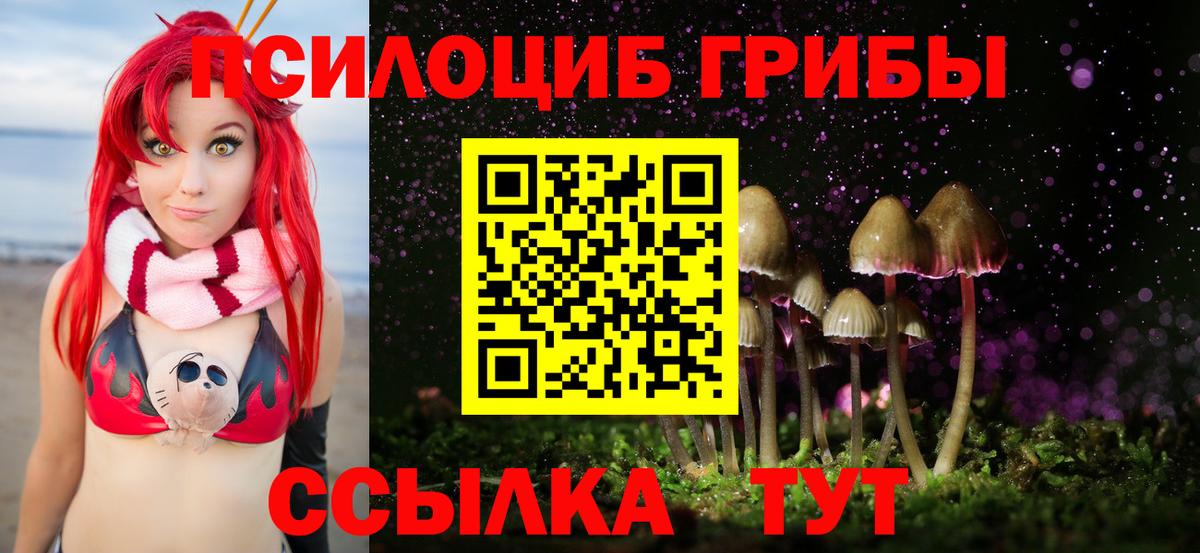Псилоцибиновые грибы Magic Shrooms  Вход с VPN  Биробиджан  Галлюциногенные грибы Psilocybe 