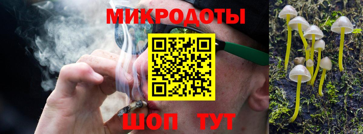 Псилоцибиновые грибы Psilocybine cubensis Биробиджан